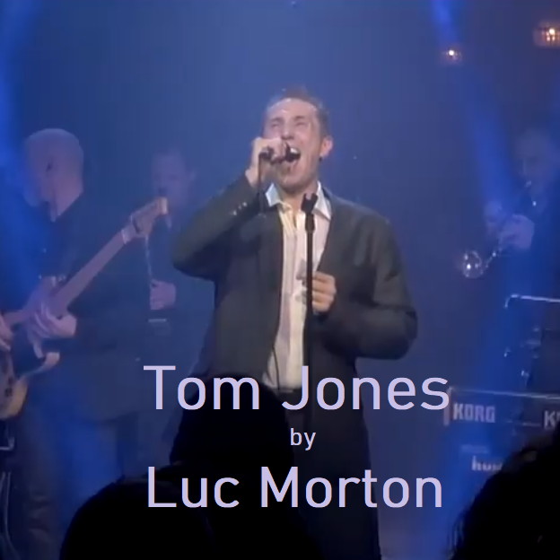 Tom Jones by Luc Morton