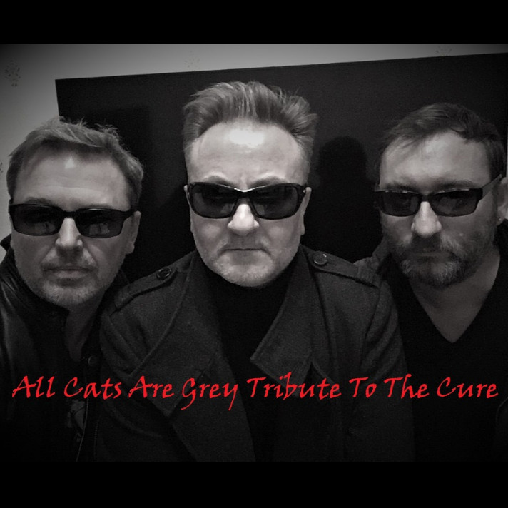 Cats are Grey Tribute The Cure